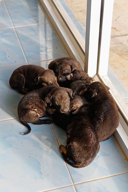 Famille et amis-MAI17-026